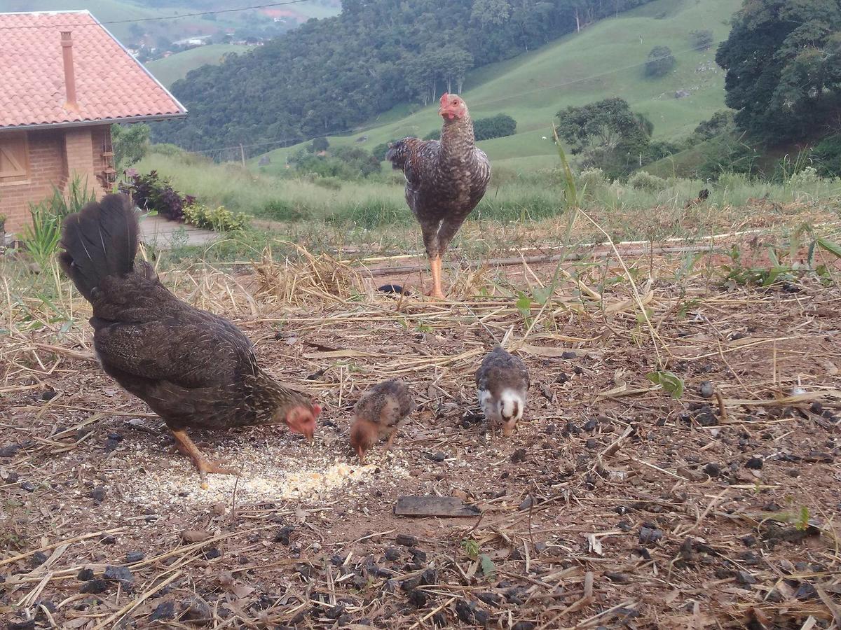 Reobote Chales São Bento do Sapucaí Exteriör bild